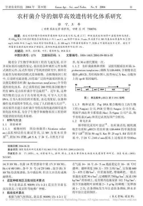 农杆菌介导的烟草高效遗传转化体系研究