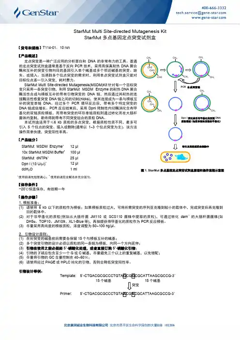 StarMut多点基因定点突变试剂盒
