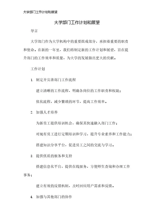 大学部门工作计划和展望