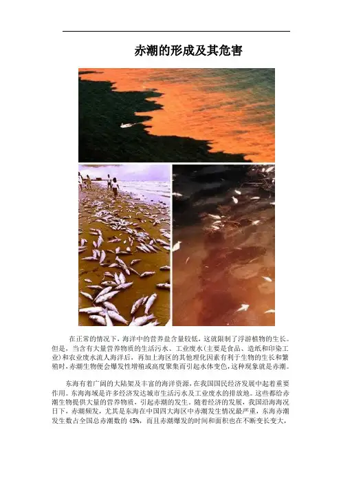 赤潮的形成及其危害