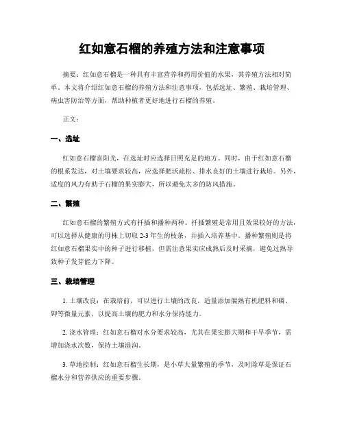 红如意石榴的养殖方法和注意事项