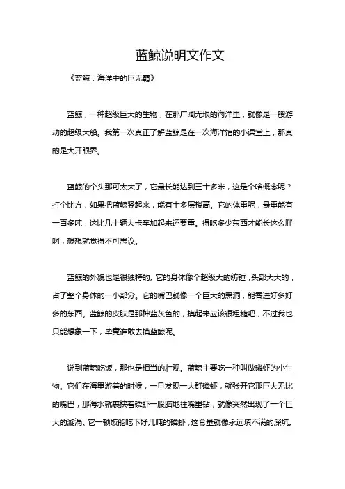 蓝鲸说明文作文