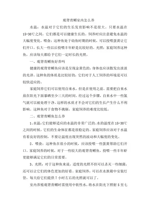 观背青鳉室内怎么养