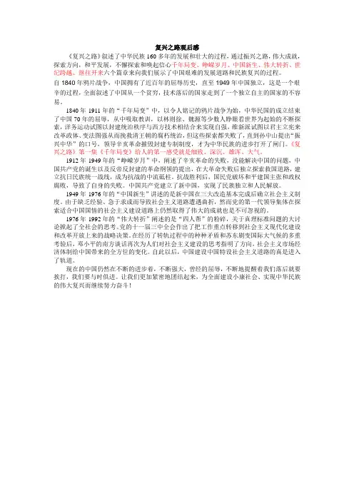 复兴之路观后感 (1)