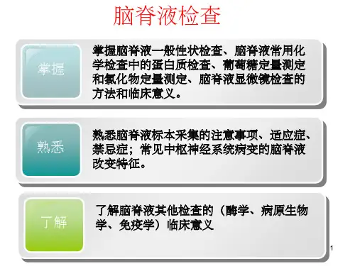 脑脊液检验