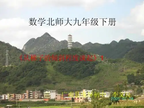 1.1从梯子的倾斜程度谈起1 PPT