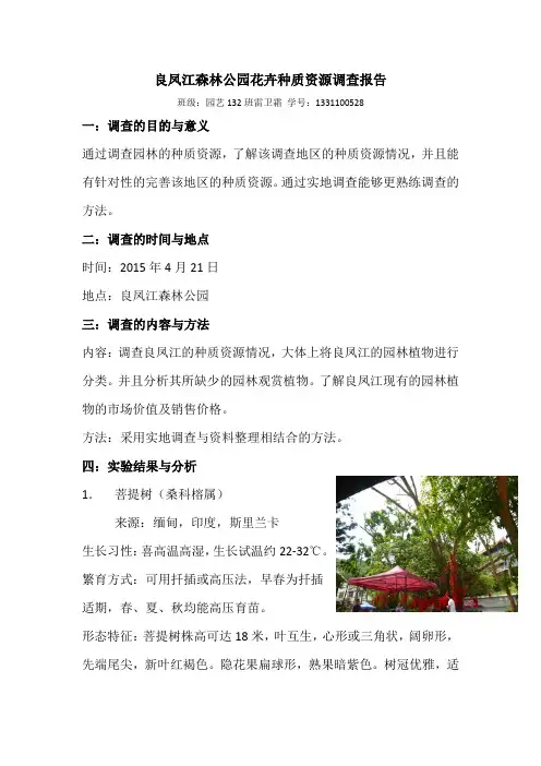 良凤江森林公园花卉种质资源调查报告