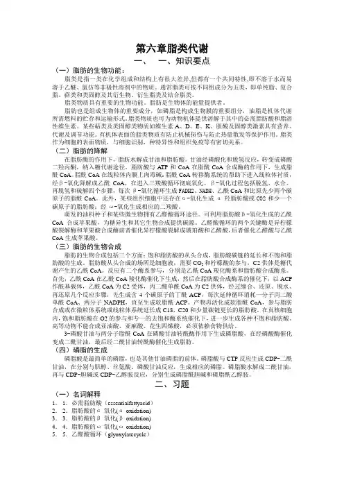 第六章  脂类代谢