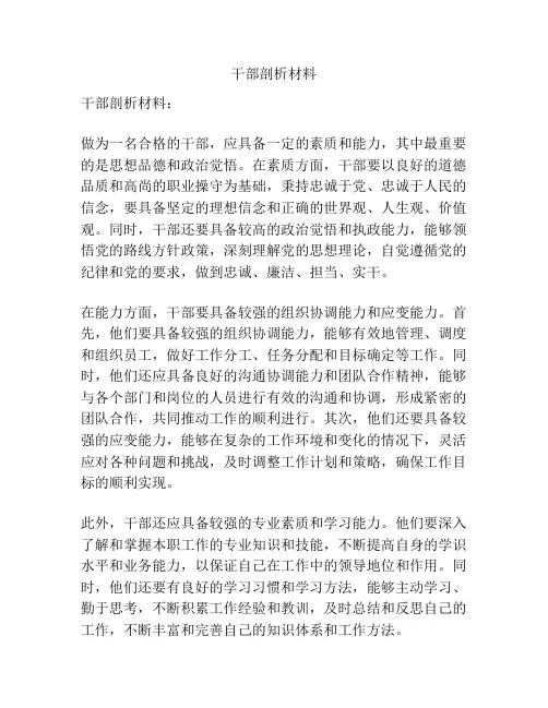 干部剖析材料