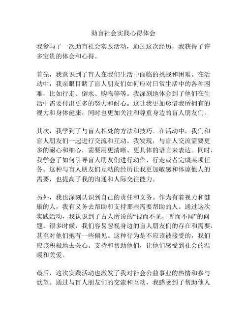 助盲社会实践心得体会
