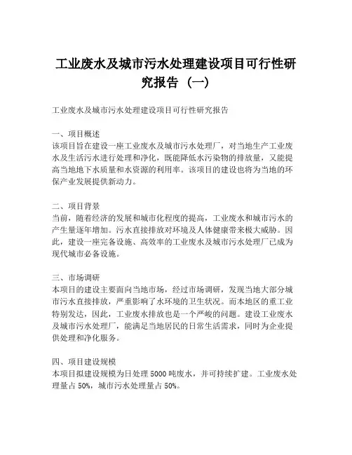 工业废水及城市污水处理建设项目可行性研究报告 (一)