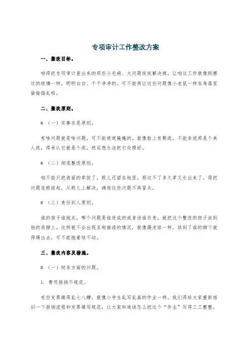 专项审计工作整改方案