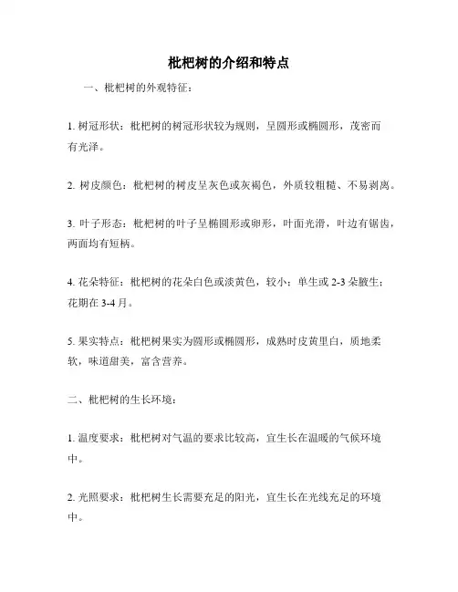 枇杷树的介绍和特点