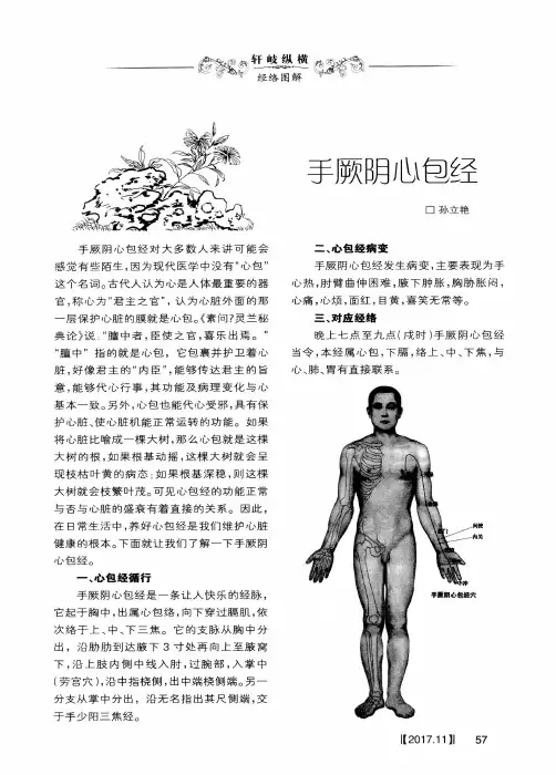手厥阴心包经