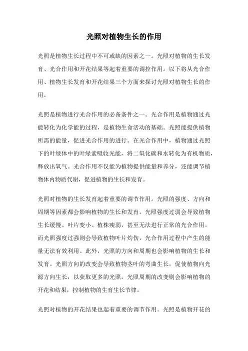 光照对植物生长的作用