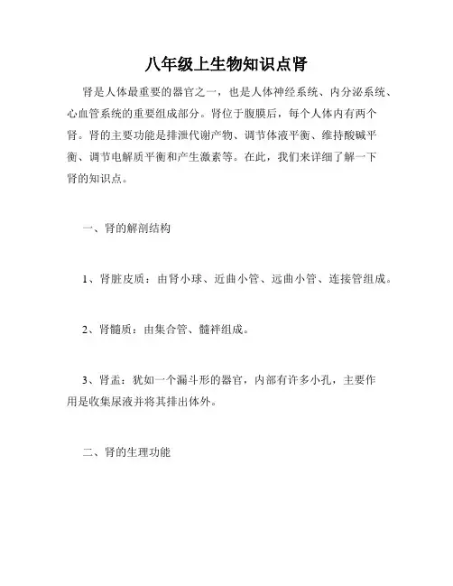 八年级上生物知识点肾