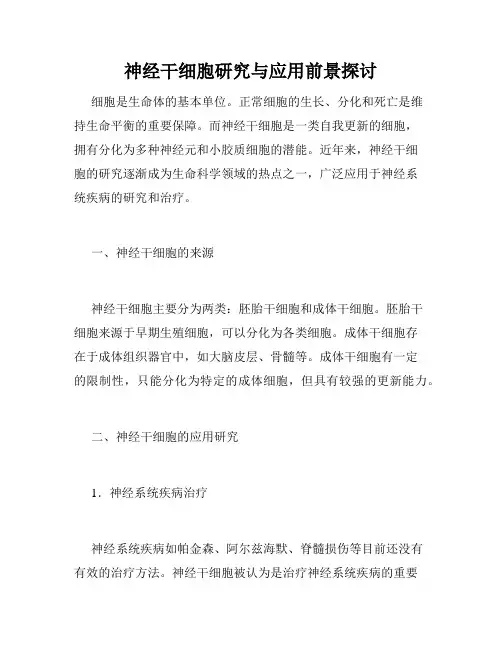 神经干细胞研究与应用前景探讨