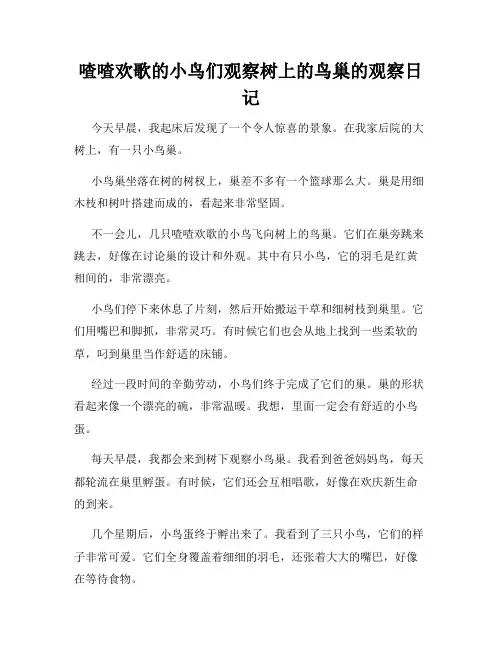 小学三年级作文喳喳欢歌的小鸟们观察树上的鸟巢的观察日记
