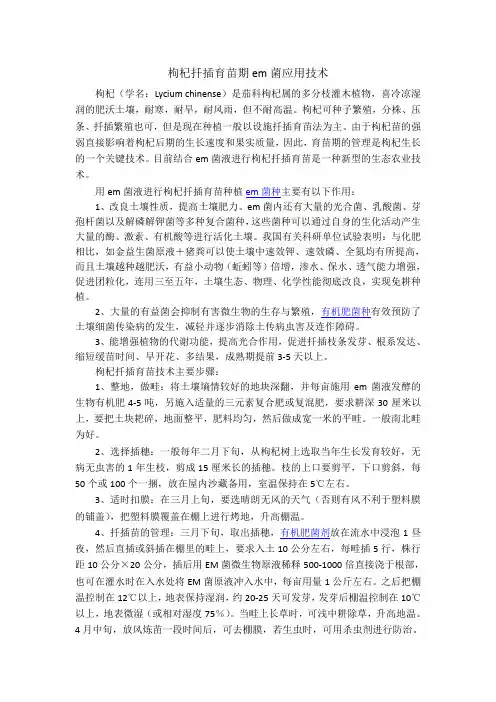 枸杞扦插育苗期em菌应用技术