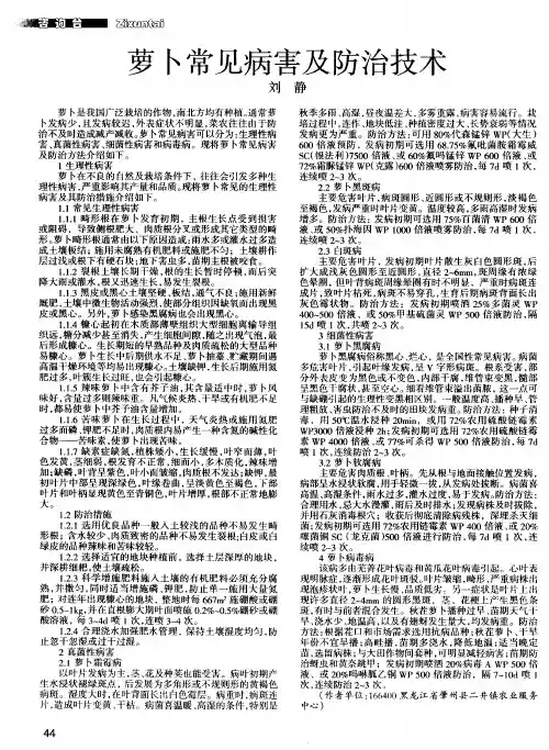 萝卜常见病害及防治技术
