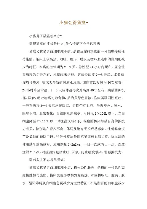 小猫会得猫瘟--小猫得了猫瘟怎么办-