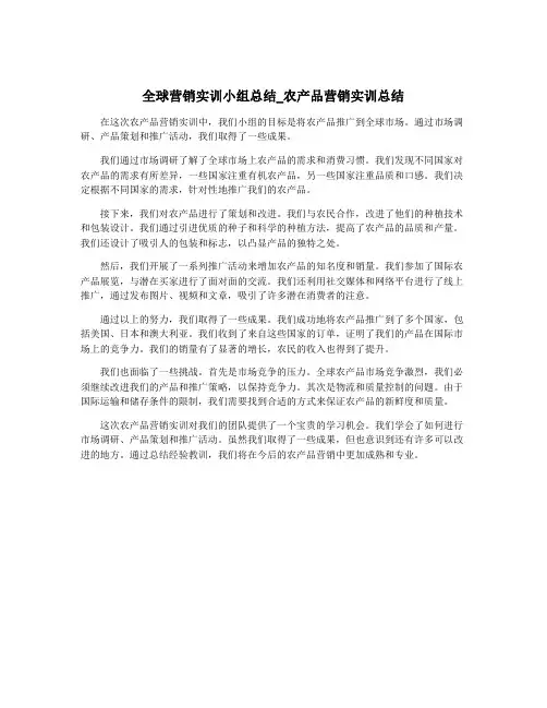 全球营销实训小组总结_农产品营销实训总结