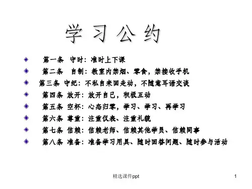《公众演说之我见》PPT课件