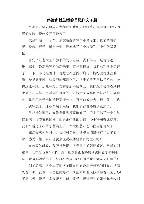 体验乡村生活的日记作文4篇
