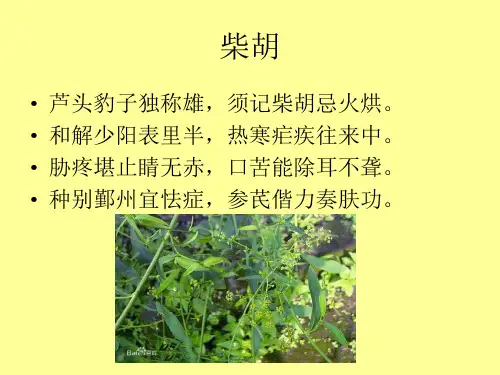 中药药用诗词