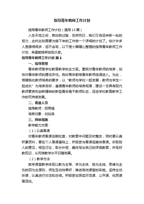 指导青年教师工作计划