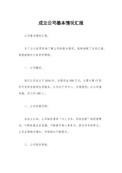 成立公司基本情况汇报