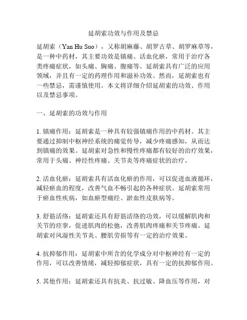 延胡索功效与作用及禁忌