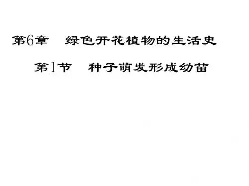 种子萌发形成幼苗  修改版