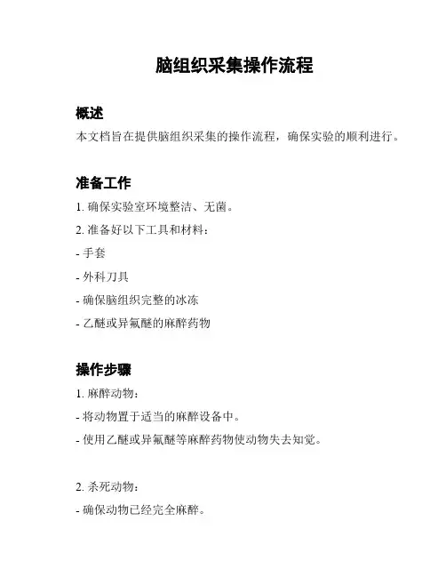 脑组织采集操作流程