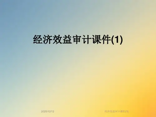 经济效益审计课件(1)