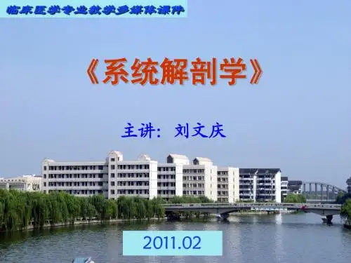 临床10级-绪论、骨总论(2012-02-18)