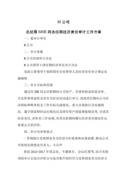国有企业领导同志任期经济责任审计工作方案