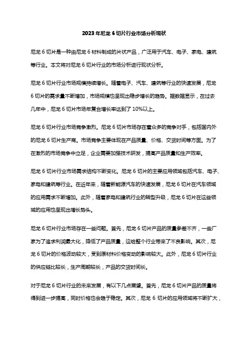 2023年尼龙6切片行业市场分析现状