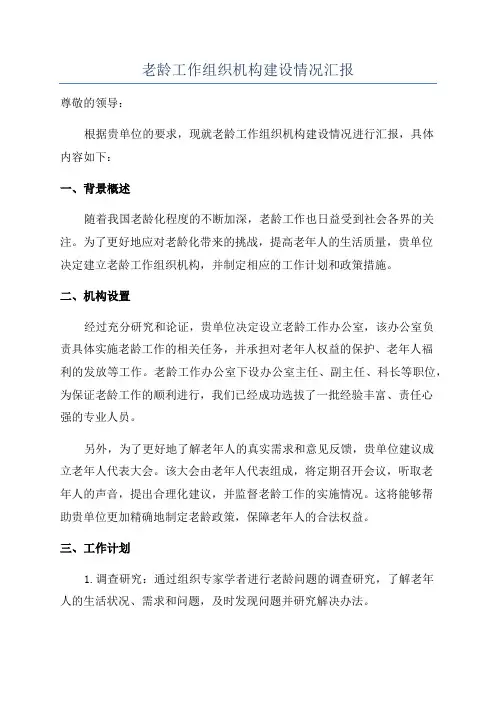 老龄工作组织机构建设情况汇报