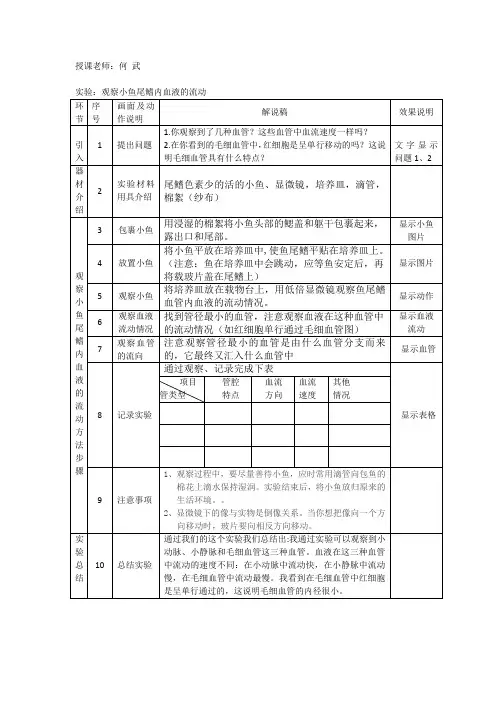 实验：观察小鱼尾鳍内血液的流动实验解说词2