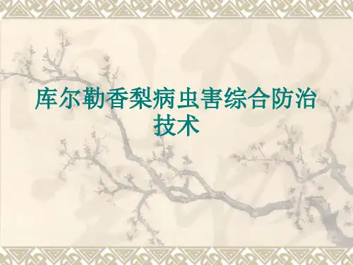 库尔勒香梨病虫害综合防治技术