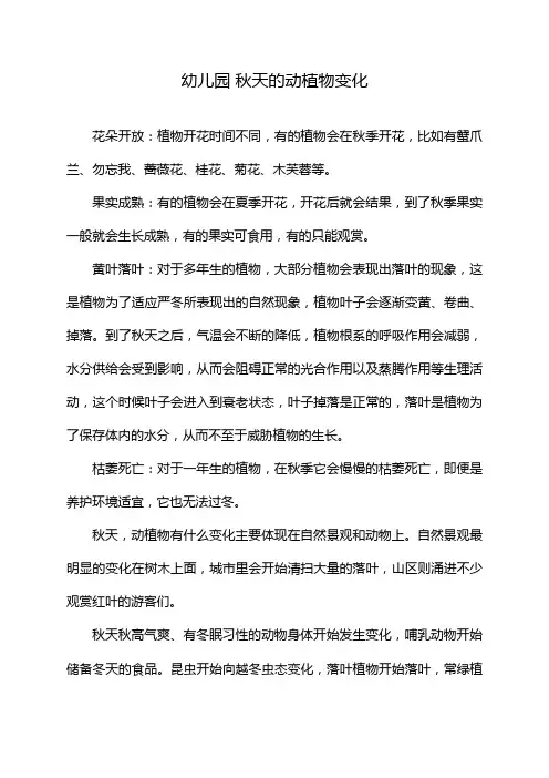 幼儿园 秋天的动植物变化