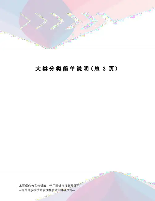 大类分类简单说明