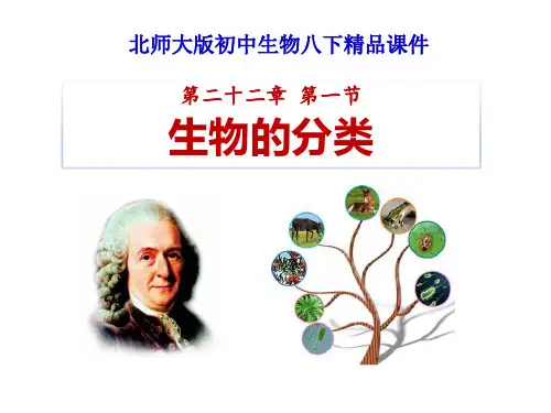 《生物的分类》PPT课件