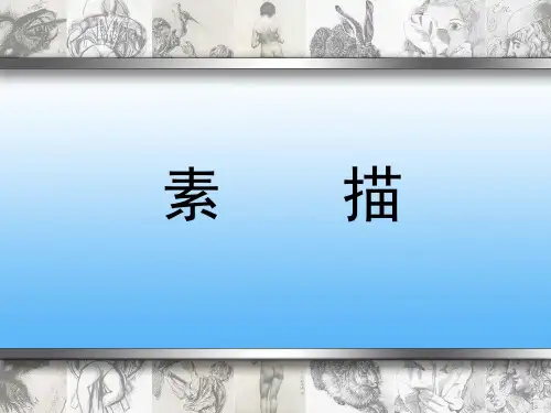 第四章  素描的造型要素和规律
