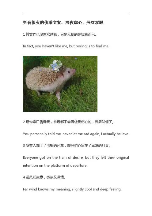抖音很火的18句伤感文案,深夜虐心,哭红双眼【文案】