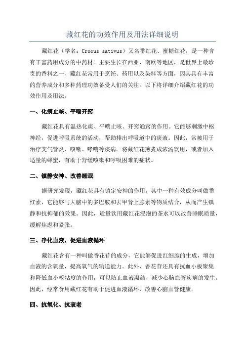 藏红花的功效作用及用法详细说明