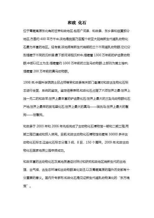和政 化石