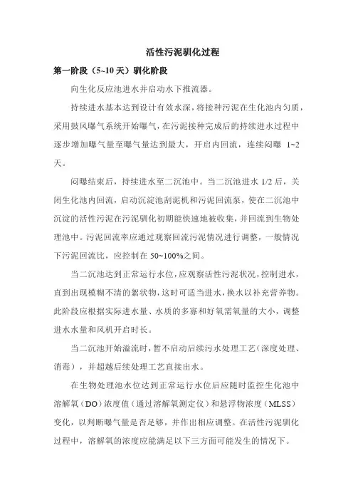 活性污泥驯化过程