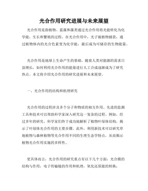 光合作用研究进展与未来展望